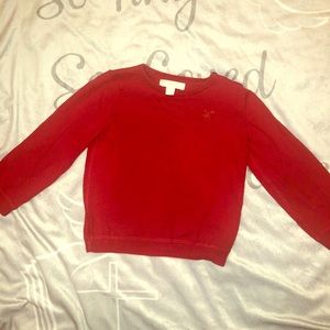 Child’s Burberry sweater